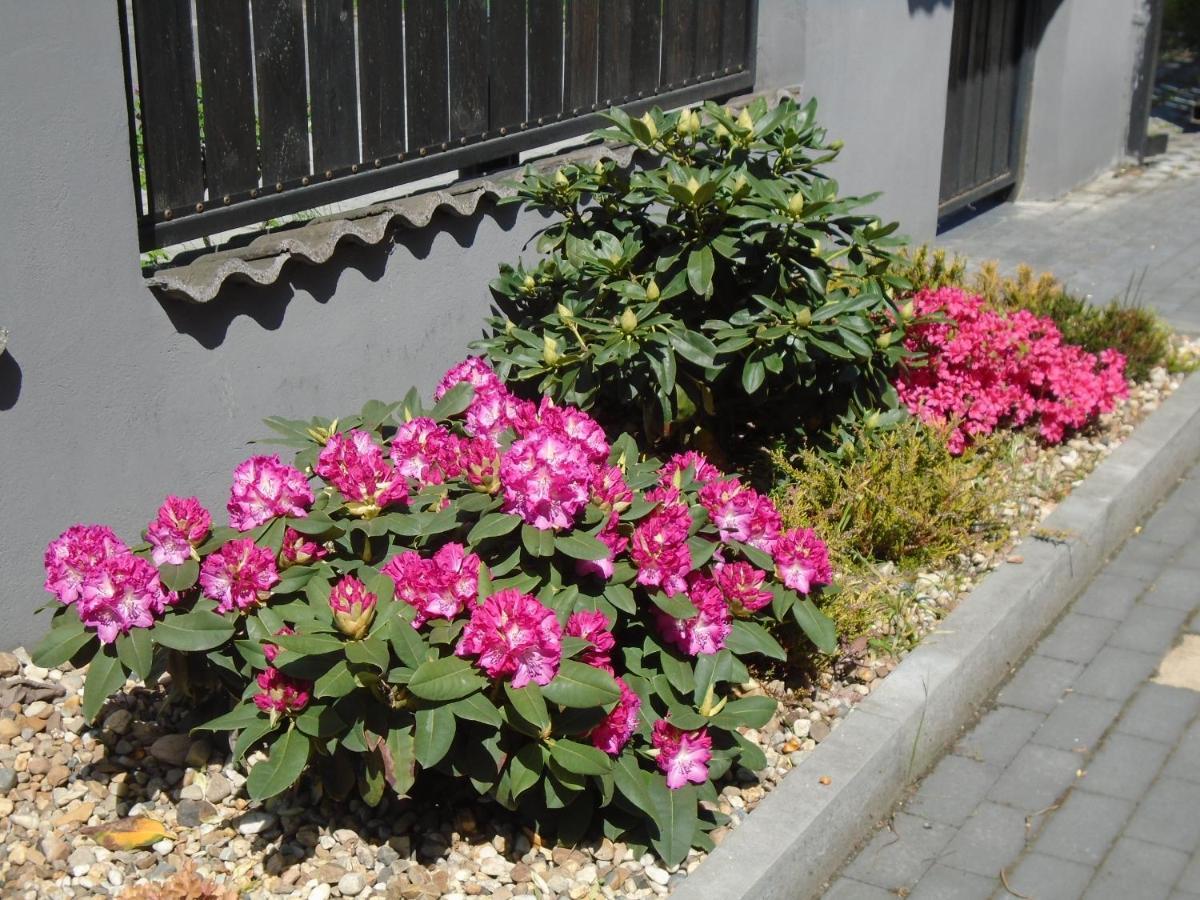 Villa Art Korab Gliwice Ngoại thất bức ảnh