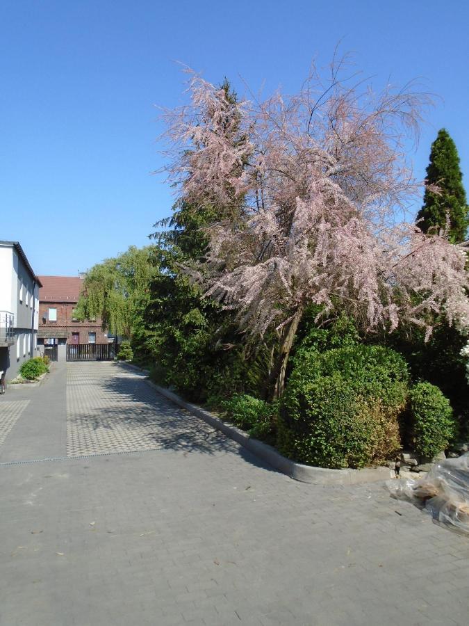 Villa Art Korab Gliwice Ngoại thất bức ảnh